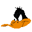 Angry duck icon